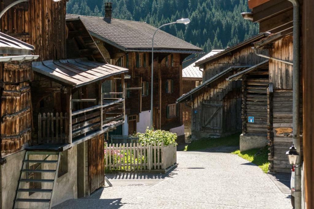 Disentis Mountain View公寓 外观 照片